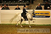 08usn-13793 proof