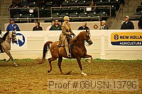 08usn-13796 proof