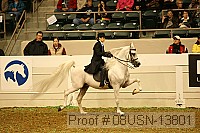 08usn-13801 proof
