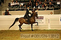 08usn-13812 proof