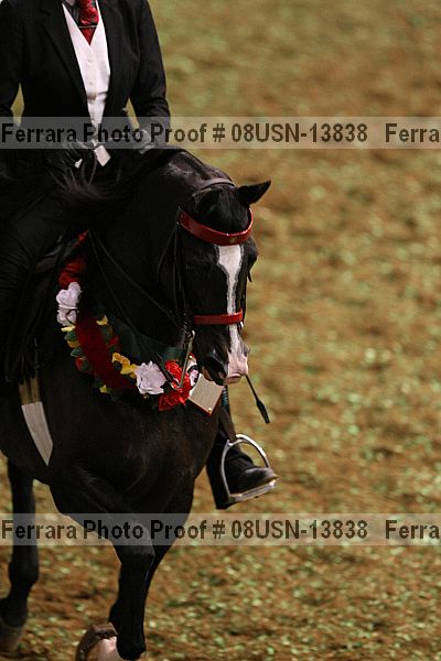 Proof 08usn-13838