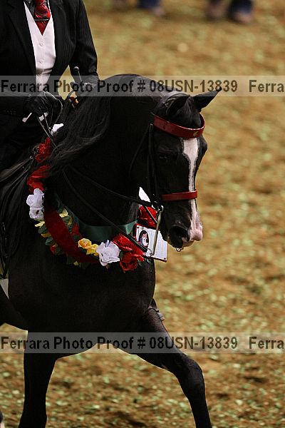 Proof 08usn-13839