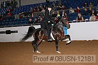 08usn-12181 proof