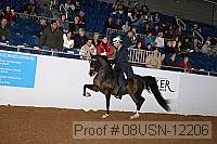 08usn-12206 proof