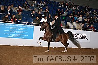 08usn-12207 proof