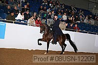 08usn-12209 proof