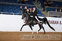 08usn-12216 proof