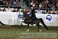 08usn-18021 proof