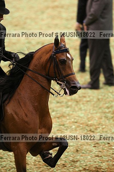 Proof 08usn-18022