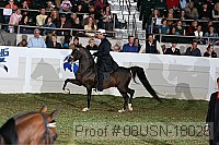 08usn-18026 proof