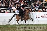 08usn-18032 proof