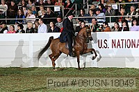 08usn-18049 proof