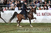08usn-18052 proof