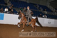 08usn-12047 proof