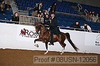 08usn-12056 proof