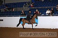 08usn-12060 proof