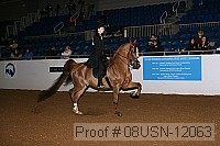 08usn-12063 proof