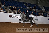 08usn-12083 proof
