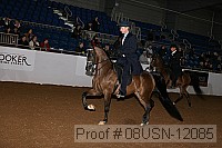 08usn-12085 proof