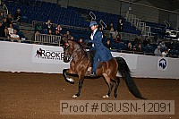 08usn-12091 proof