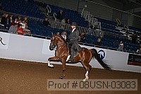 08usn-03083 proof
