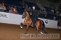 08usn-03085 proof