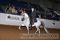 08usn-03096 proof