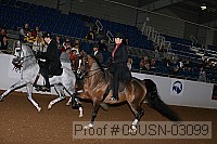 08usn-03099 proof