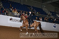 08usn-03101 proof
