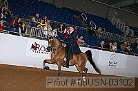 08usn-03102 proof
