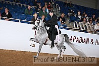 08usn-03107 proof