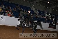 08usn-03124 proof