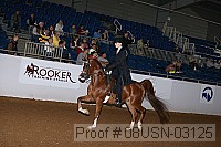 08usn-03125 proof