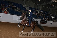 08usn-03127 proof