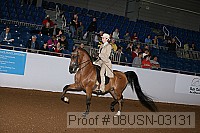 08usn-03131 proof