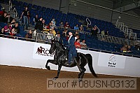 08usn-03132 proof
