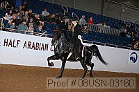 08usn-03160 proof