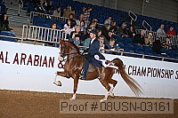 08usn-03161 proof