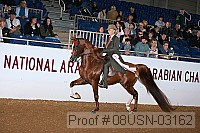 08usn-03162 proof