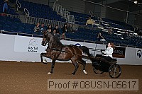 08usn-05617 proof