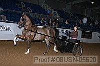 08usn-05620 proof