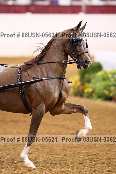 Proof 08usn-05621