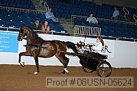 08usn-05624 proof