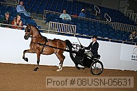 08usn-05631 proof