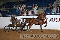 08usn-05640 proof