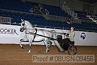 08usn-09456 proof