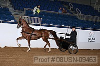 08usn-09463 proof