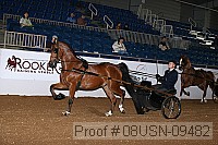 08usn-09482 proof