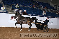 08usn-09483 proof