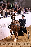 08usn-15680 proof